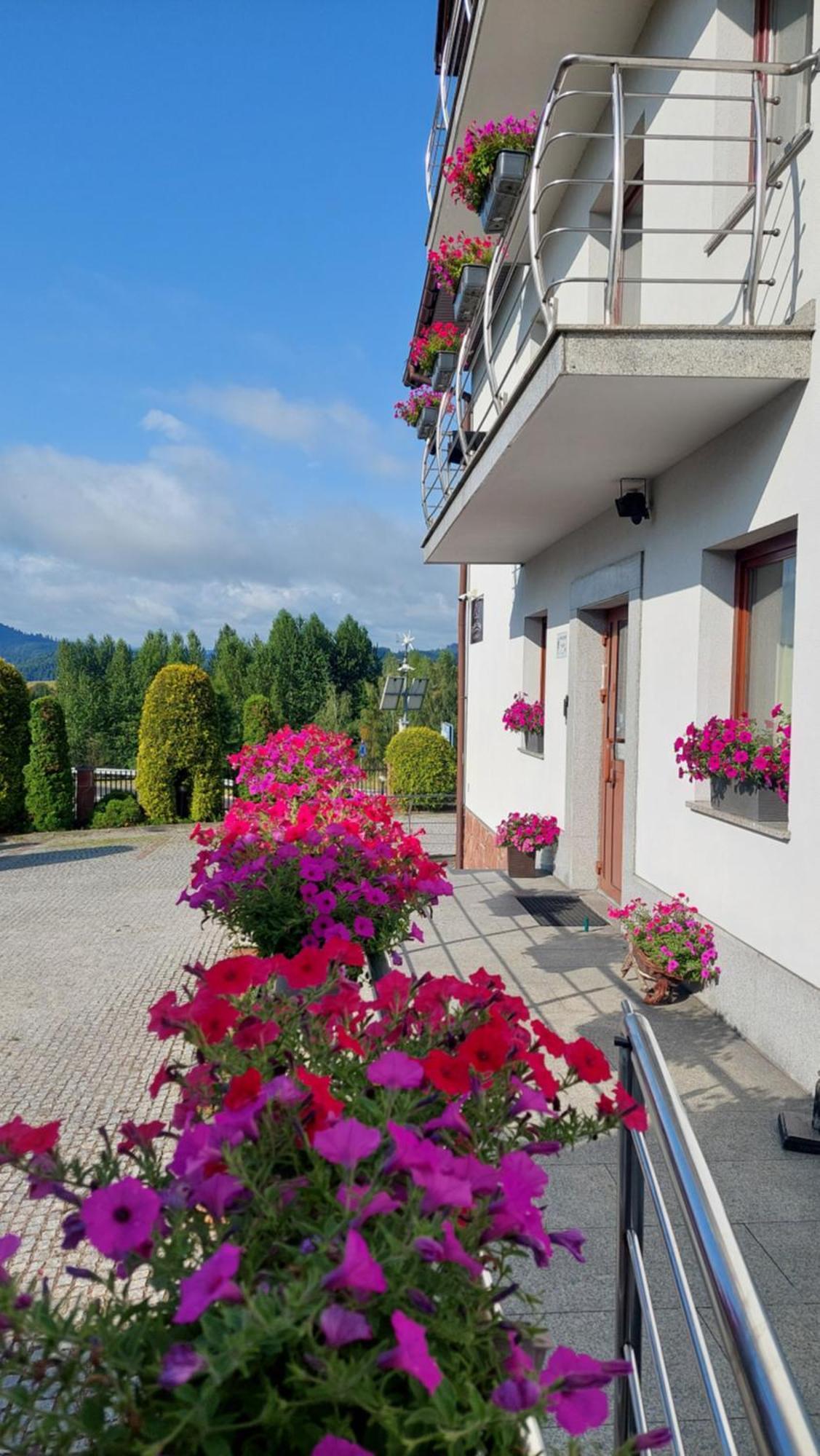Gosciniec Pieninski Kluszkowce Buitenkant foto